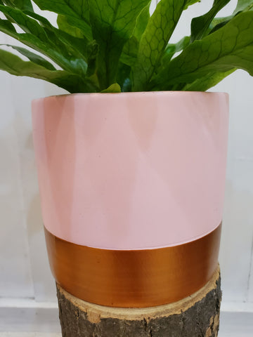 Pink + Gold Pot