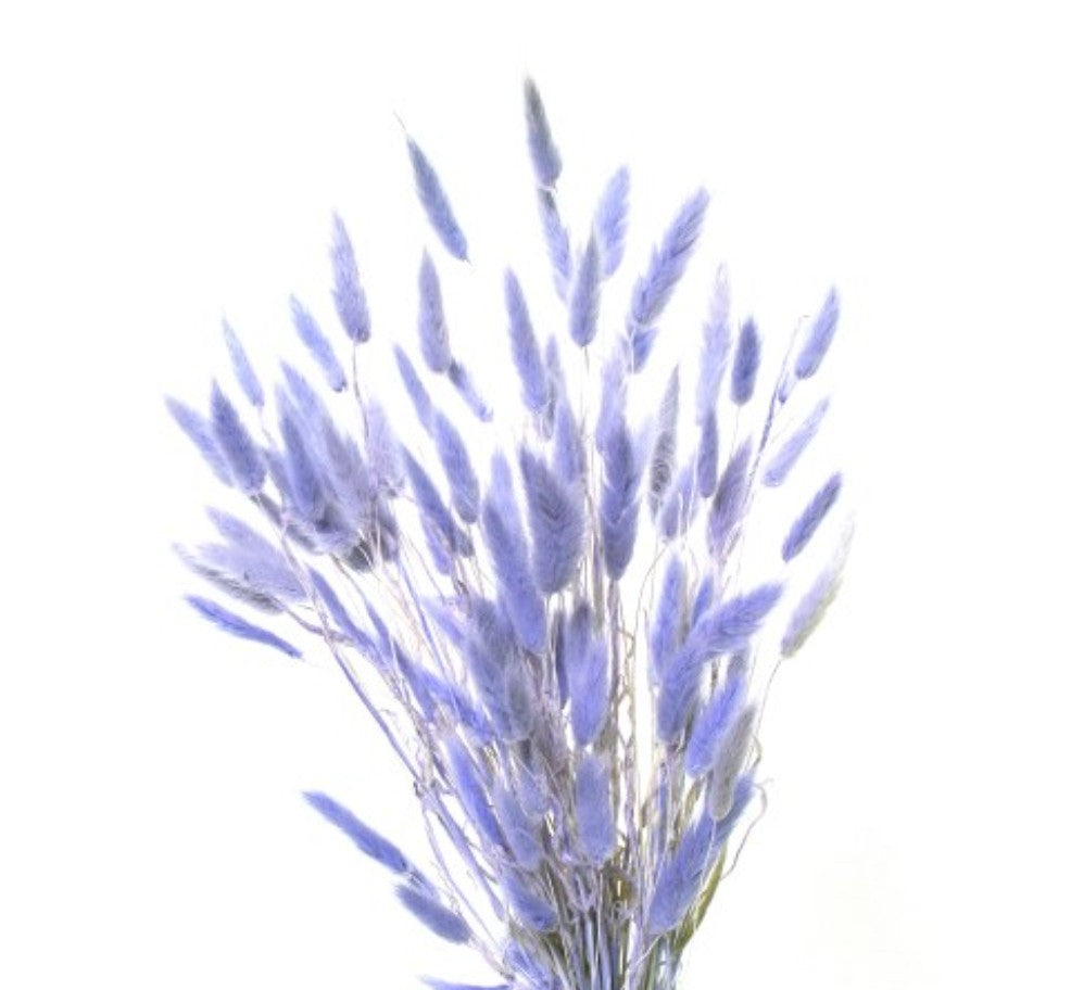 Lavender Bunny Tails